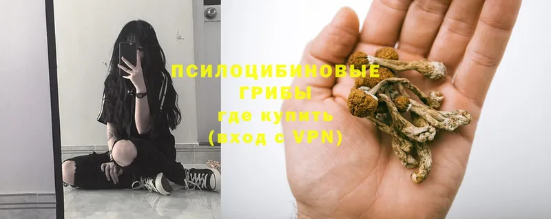 Псилоцибиновые грибы Magic Shrooms  Ковдор 